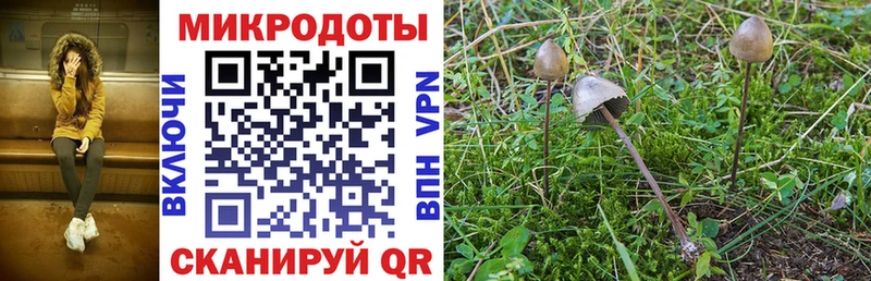 Галлюциногенные грибы ЛСД  мориарти какой сайт  Нолинск  omg как зайти 